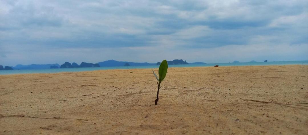 Koh Yao Noi Beach Resort المظهر الخارجي الصورة